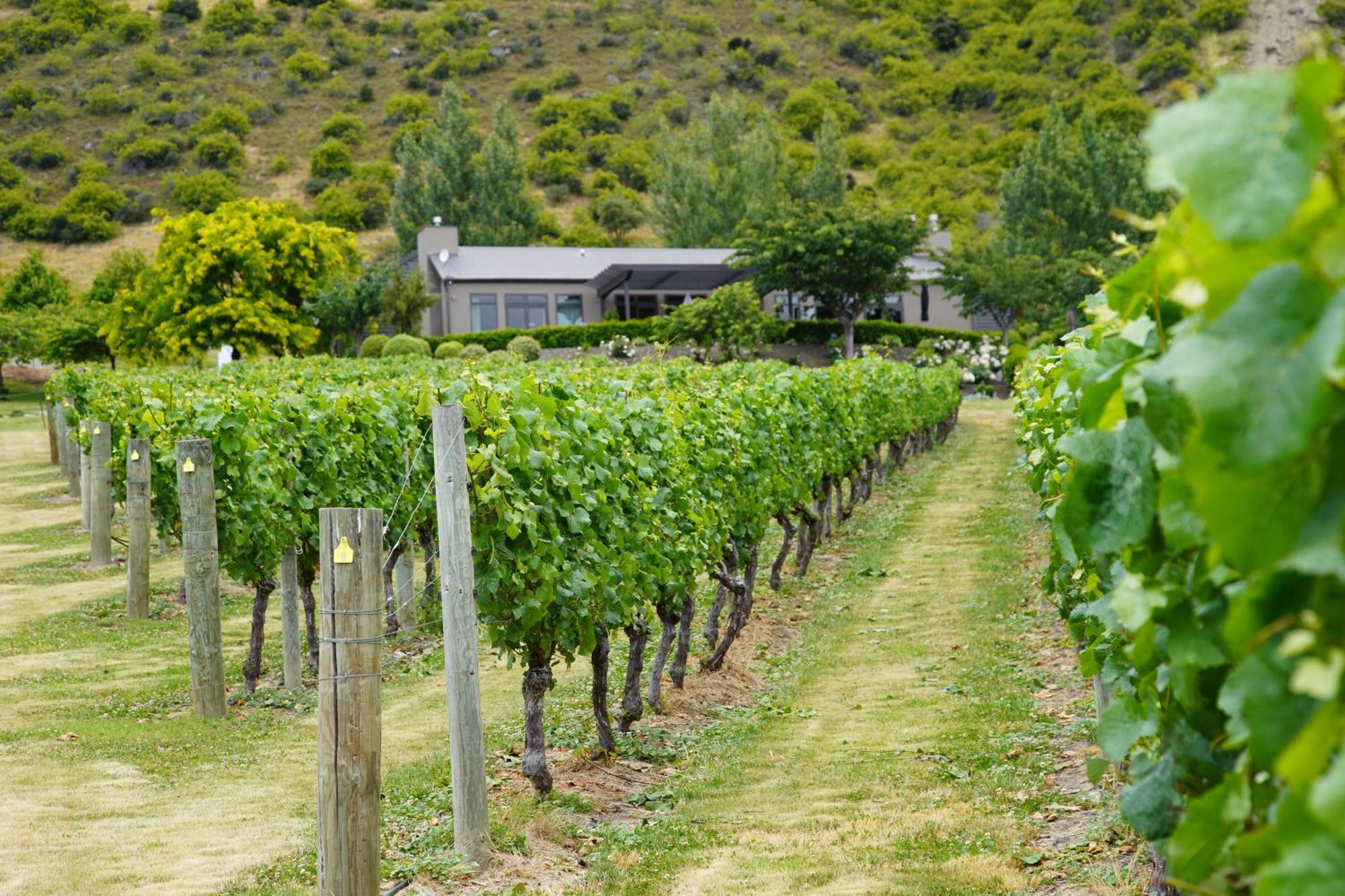 Mt Rosa Lodge Boutique Vineyard Accommodation Wanaka Exterior foto