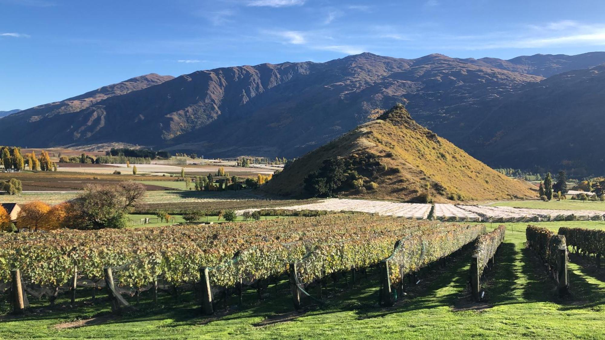 Mt Rosa Lodge Boutique Vineyard Accommodation Wanaka Exterior foto