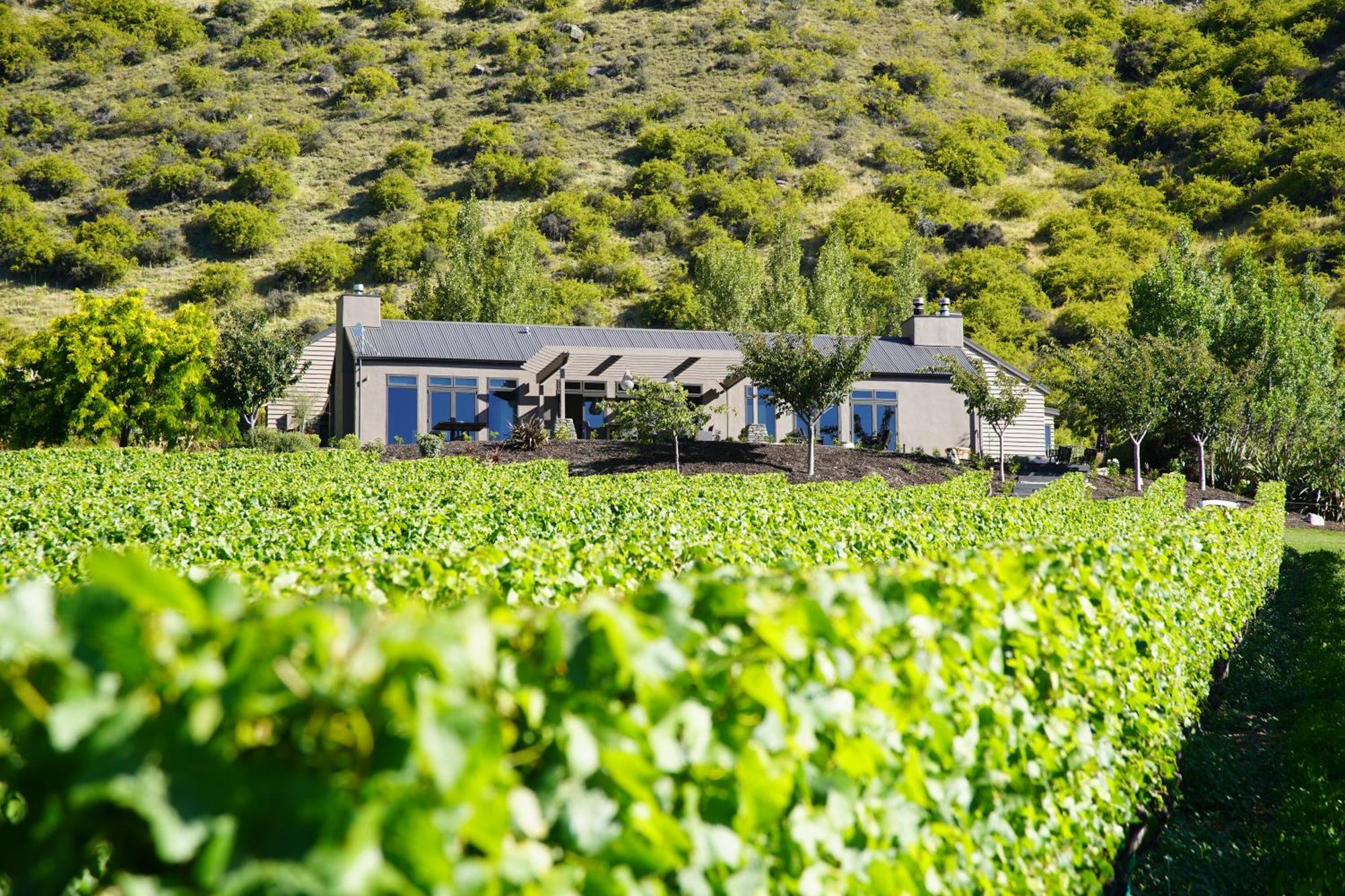 Mt Rosa Lodge Boutique Vineyard Accommodation Wanaka Exterior foto