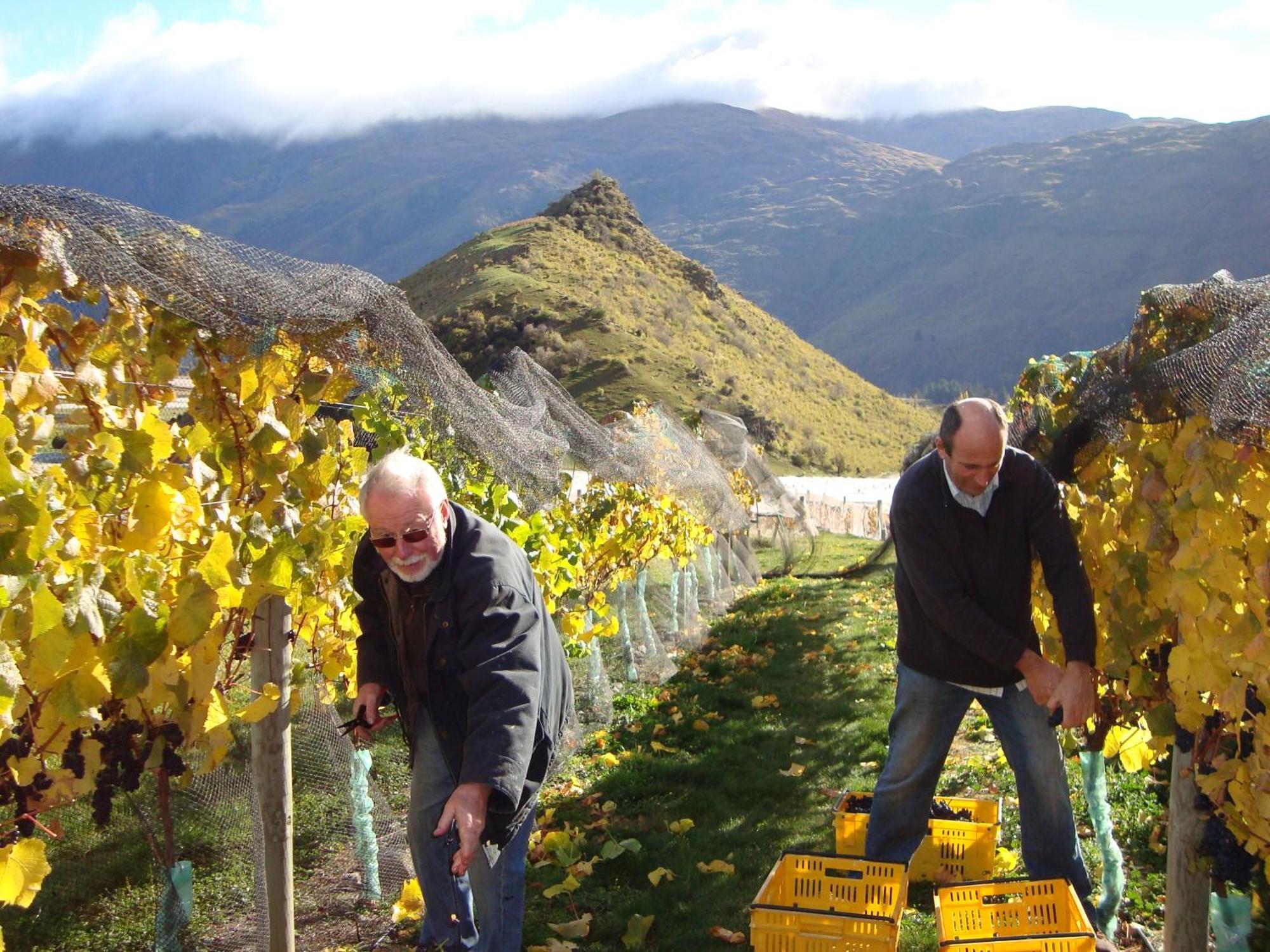 Mt Rosa Lodge Boutique Vineyard Accommodation Wanaka Exterior foto