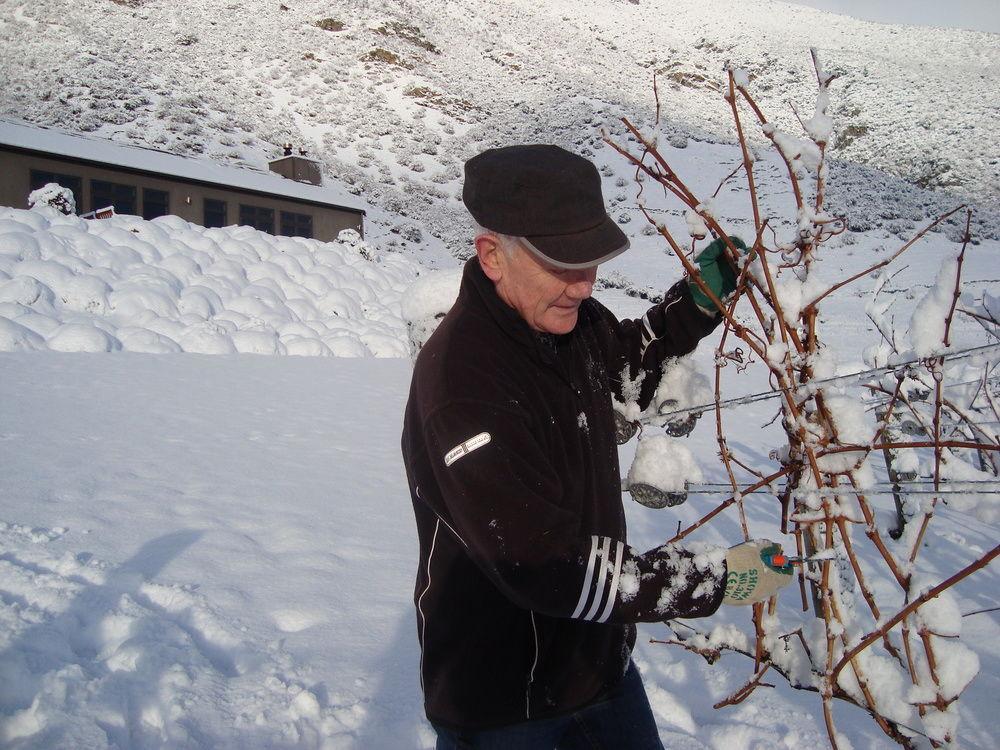 Mt Rosa Lodge Boutique Vineyard Accommodation Wanaka Exterior foto